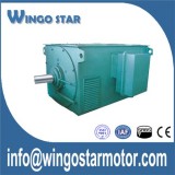 Induction Motor