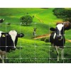 Grassland Fence