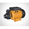 Vortex pump / peripheral pump PM45/80