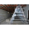 5 Teris of 200 Birds Layer Cage