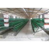 Plastic Coated Layer Cage