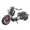 ICE BEAR Maddog PMZ50-21 50cc Scooter Price 500usd