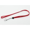 E-cigarette lanyard