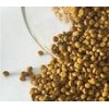 Fiber Brown Additive Masterbatch 5 Migration Excellent Dispersing