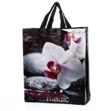 Laminated Polypropylene Bag, F