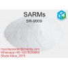 99% Purity SARMs Powder SR-9009 To Boosts Your Metabolic Activity