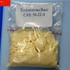 Testosterone Base