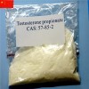 Testosterone propionate