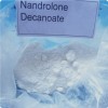 Nandrolone Decanoate