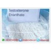 Anabolic Steroid Powder Muscle Gain Testosterone Enanthate 99% Assays CAS 315-37-7