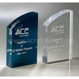 Acrylic Wedding Gift Paperweig