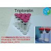 Antineoplastic Peptides Triptorelin To Increases Muscle Mass