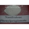 Raw Durabolin Anti Aging 62-90-8  Nandrolone Phenylpropionate