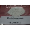 Fat Loss API Raw Hormone Powder Bodybuilding Steroids Boldenone Acetate