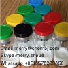 Pentadecapeptide BPC 157 (2mg/vial)