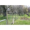 Chain Link Wire Fence