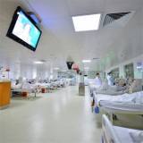 Children Purpura Nephritis Tre