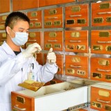 Children Purpura Nephritis Cau