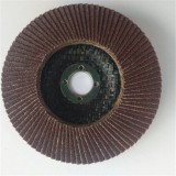 Net Cover Flap Wheel