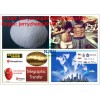 Methyltestosterone   (jerryzhang001@chembj.com)