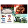 Testosterone Undecanoate  (jerryzhang001@chembj.com)