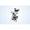 LED fluorescence microscope MF10-LED