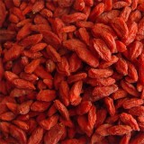 Xinjiang Organic GOJI