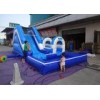 Blue Tunnel Interesting Inflatable Slip N Slide With Arch Entrance