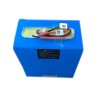 Lithium Iron Phosphate Battery Pack 24V 80Ah