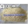 99% Purity hormone steroid Trenbolone Acetate for muscle building