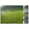 Cattle Fence