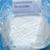 Testosterone Decanoate