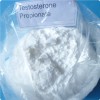 Testosterone propionate
