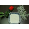 Zinc Oixde Powder 99.9%