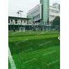 Football Field Synthetic Grass Infill For Artificial Turf FIFA Standard