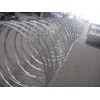 Galvanized Razor Wire