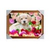 Customised PET Pictures 3D Lenticular Printing Service Stock 3D Image PS Frame