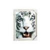 Decorative Animal Design 3d Lenticular Image PET Printing Service PS Frame High Definition
