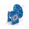 Motovario Gear Reducer