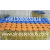 Primoject 100 Injectable Anabolic Primobolan Depot Steroids 303-42-4 Methenolone Enanthate 100mg/Ml