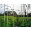 Holland Wire Mesh