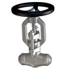 Forged Steel Gate Valves