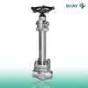 DIN 3356 Cryogenic Globe Valves