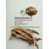 Polysaccharides 30%&Triterpenoid saponin 1.5%, Reishi Mushroom Extract