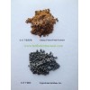 Fructus Ligustri Lucidi Extract, glossy privet fruit extract, manufacturer