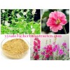 Althaea Officinalis Root Extract, ISO Certified manufacturer, 100% natural,