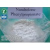 Nandrolone phenylpropionate Steroid Powders for Muscle Growth