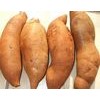 Wild Yam Extract, Diosgenine,  Wild Yam Powder, Chinese supplier