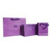 Eco Friendly Color Party Glossy Paper Shopping Bags Silk Printing / UV Coating