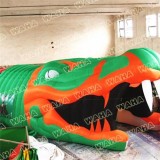 Inflatable Entrance Sports Run